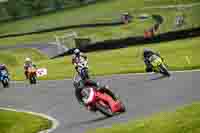 cadwell-no-limits-trackday;cadwell-park;cadwell-park-photographs;cadwell-trackday-photographs;enduro-digital-images;event-digital-images;eventdigitalimages;no-limits-trackdays;peter-wileman-photography;racing-digital-images;trackday-digital-images;trackday-photos